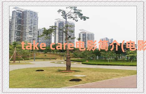 take care电影简介(电影the take)